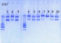 Thumbnail for version as of 13:46, 8 May 2013