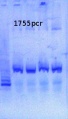Thumbnail for version as of 11:56, 10 June 2013