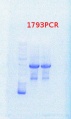 Thumbnail for version as of 14:49, 5 August 2013
