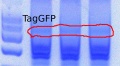 Thumbnail for version as of 14:07, 23 September 2011