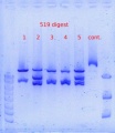 Thumbnail for version as of 15:32, 5 January 2012
