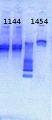 Thumbnail for version as of 16:55, 1 May 2013