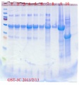 Thumbnail for version as of 19:48, 13 February 2013