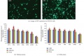 Thumbnail for version as of 23:18, 19 June 2014