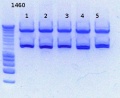 Thumbnail for version as of 16:06, 29 November 2012