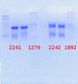 Thumbnail for version as of 16:09, 7 July 2014