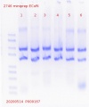Thumbnail for version as of 14:56, 14 May 2020