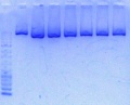 Thumbnail for version as of 17:19, 14 October 2013