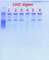Thumbnail for version as of 15:48, 17 February 2012