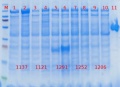 Thumbnail for version as of 15:50, 7 December 2012