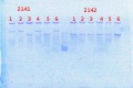 Thumbnail for version as of 14:28, 23 April 2014