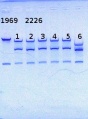 Thumbnail for version as of 11:43, 22 May 2014