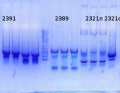 Thumbnail for version as of 14:26, 26 December 2014