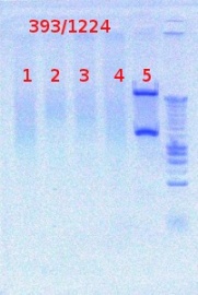 393+1224 digest 7-24-2012.JPG