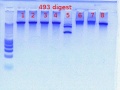 Thumbnail for version as of 11:02, 16 December 2011