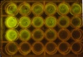 Thumbnail for version as of 09:30, 28 August 2014