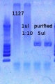 Thumbnail for version as of 13:51, 4 January 2013