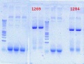 Thumbnail for version as of 16:09, 7 August 2012