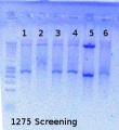 Thumbnail for version as of 15:30, 6 August 2012