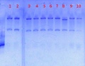 Thumbnail for version as of 14:48, 9 June 2013