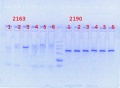 Thumbnail for version as of 13:26, 30 April 2014