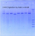 Thumbnail for version as of 12:16, 19 June 2015