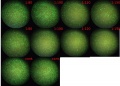 Thumbnail for version as of 12:41, 12 January 2012