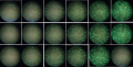 Thumbnail for version as of 18:14, 26 September 2014