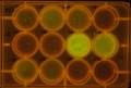 Thumbnail for version as of 10:58, 28 April 2011