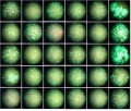 Thumbnail for version as of 16:58, 25 April 2016