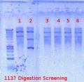 Thumbnail for version as of 12:17, 23 July 2012
