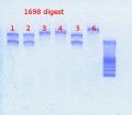 Thumbnail for version as of 17:15, 8 March 2013