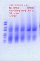 Thumbnail for version as of 21:39, 5 January 2019