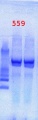Thumbnail for version as of 14:07, 10 May 2013