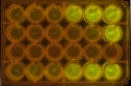 Thumbnail for version as of 16:12, 11 October 2014