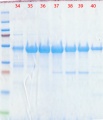 Thumbnail for version as of 16:05, 3 December 2012