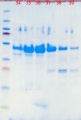 Thumbnail for version as of 13:32, 5 December 2012
