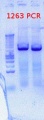 Thumbnail for version as of 11:52, 12 July 2012