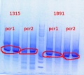 Thumbnail for version as of 14:14, 1 November 2013