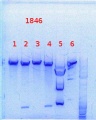 Thumbnail for version as of 15:39, 19 September 2013