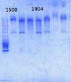 Thumbnail for version as of 16:28, 25 October 2013