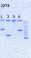 Thumbnail for version as of 12:28, 22 August 2014