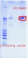 Thumbnail for version as of 12:21, 14 October 2011