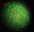 Thumbnail for version as of 14:57, 20 January 2012