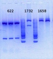 Thumbnail for version as of 11:33, 6 August 2013