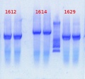 Thumbnail for version as of 17:14, 1 February 2013