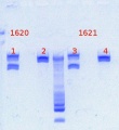 Thumbnail for version as of 15:06, 22 January 2013