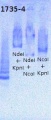 Thumbnail for version as of 12:42, 23 May 2013