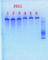 Thumbnail for version as of 10:50, 15 January 2014