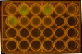 Thumbnail for version as of 16:13, 14 September 2014